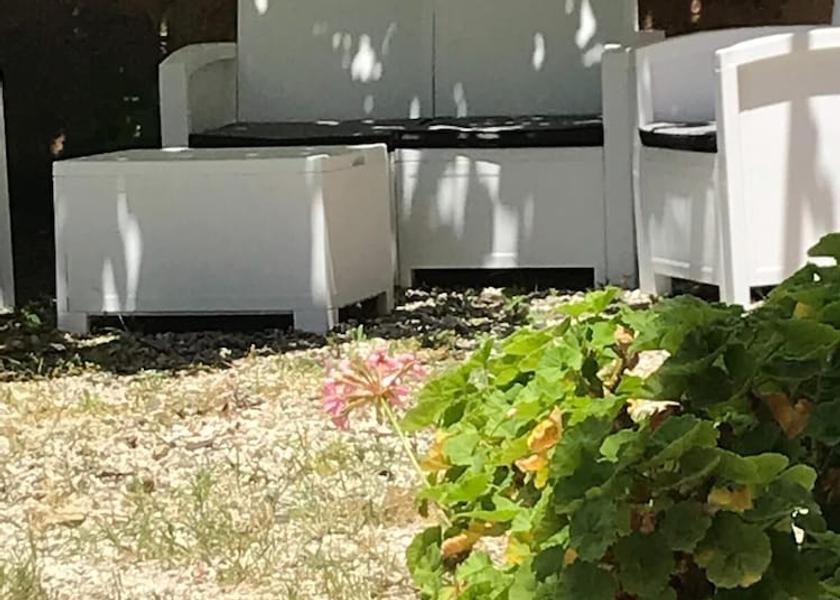 Campania Camerota Exterior Detail