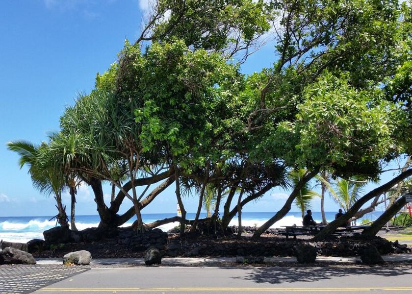Hawaii Keaau Beach