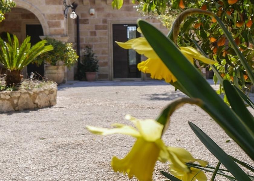 Puglia Tricase Exterior Detail