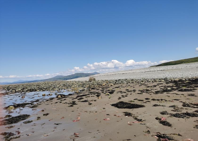 Wales Llwyngwril Beach