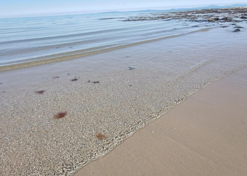 Wales Llwyngwril Beach