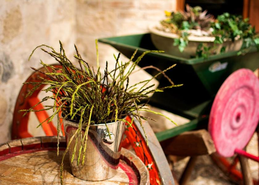 Abruzzo Manoppello Porch