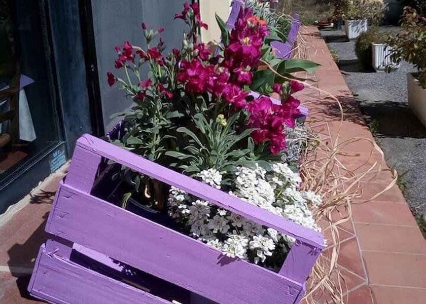 Tuscany Fivizzano Exterior Detail