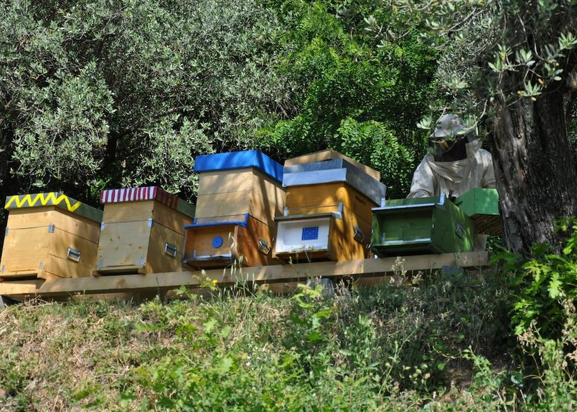 Tuscany Fivizzano Exterior Detail