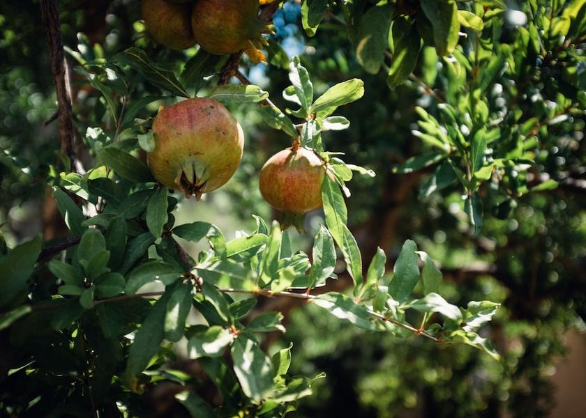 Sicily Pettineo Exterior Detail