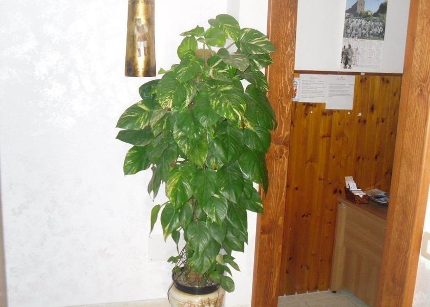 Sardinia Siniscola Lobby