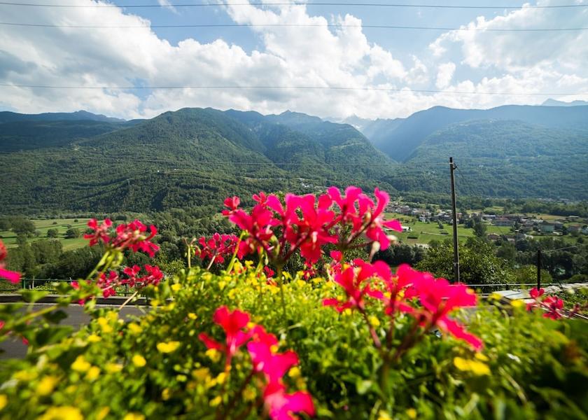 Lombardy Teglio Land View from Property