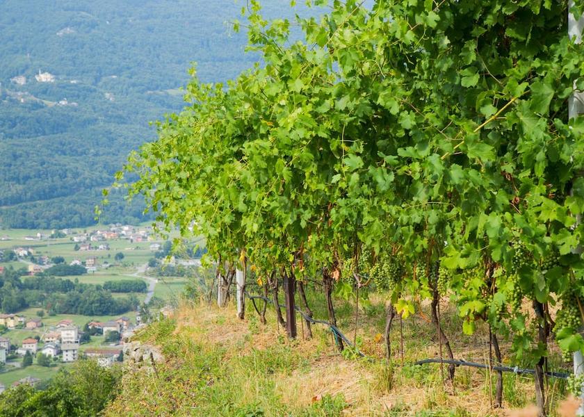 Lombardy Teglio View from Property