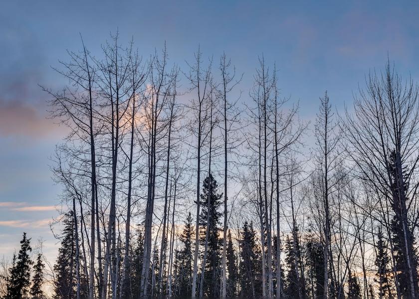 Alaska Soldotna Interior Entrance