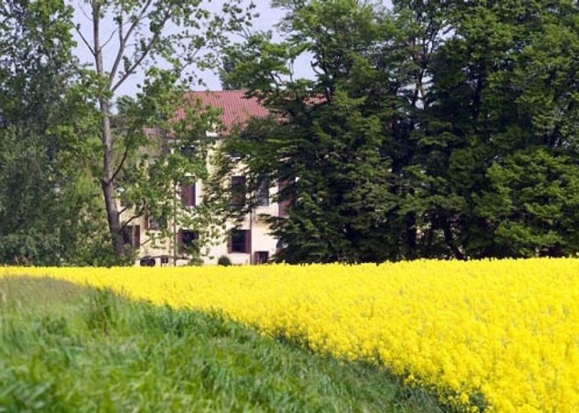 Veneto Vigonza Garden