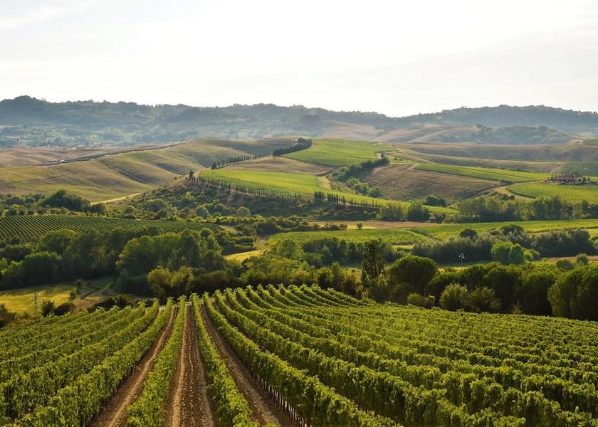 Tuscany Terricciola Exterior Detail