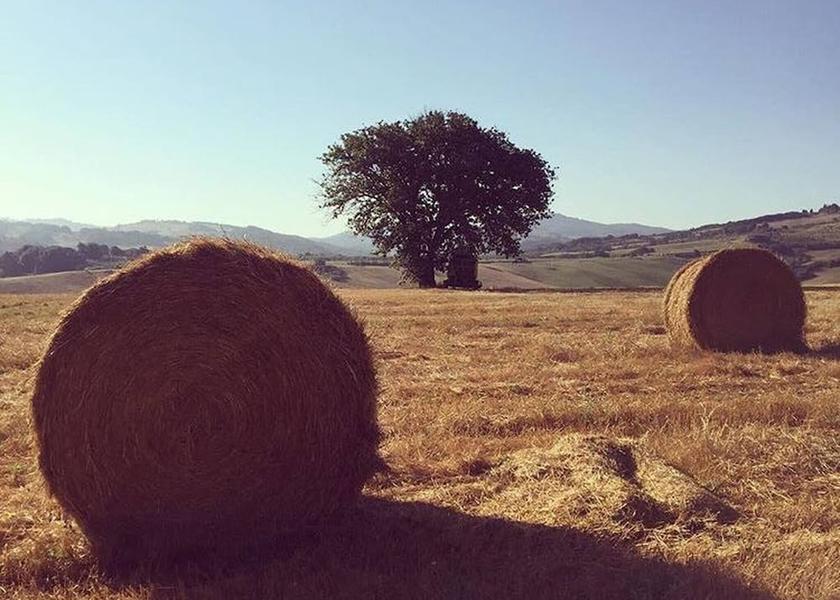Tuscany Pomarance Exterior Detail