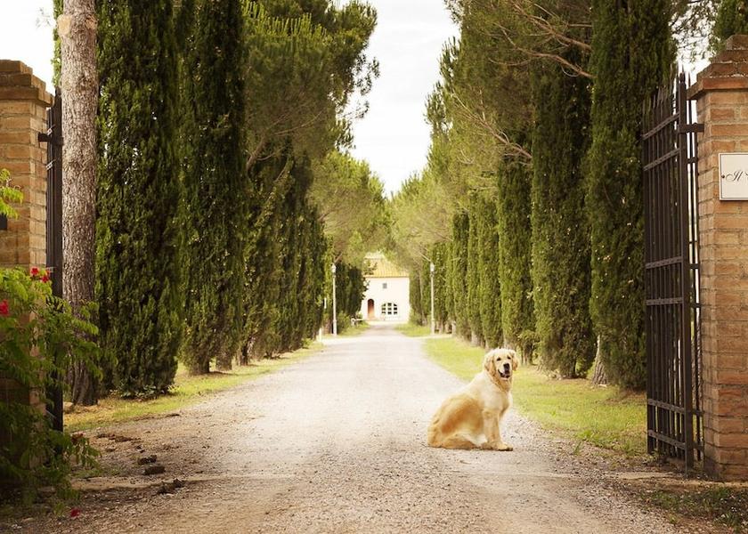Tuscany Pomarance Entrance