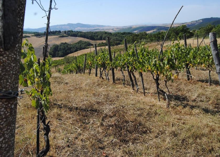 Tuscany Pomarance Property Grounds