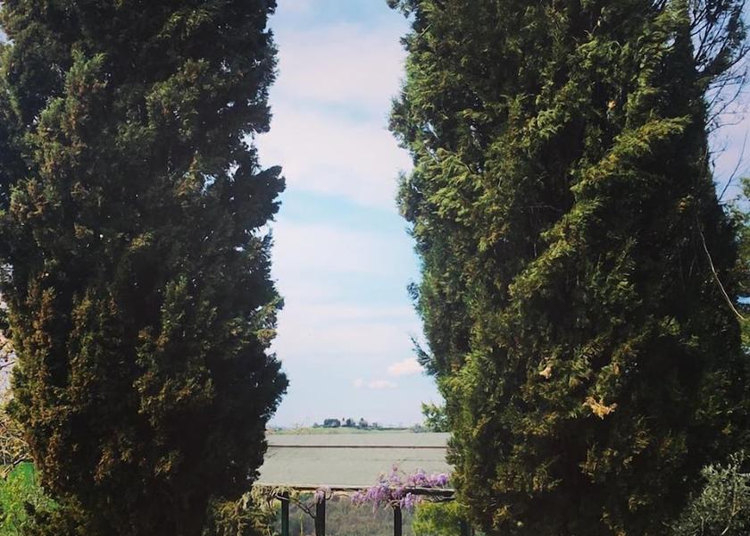 Tuscany Pomarance Property Grounds