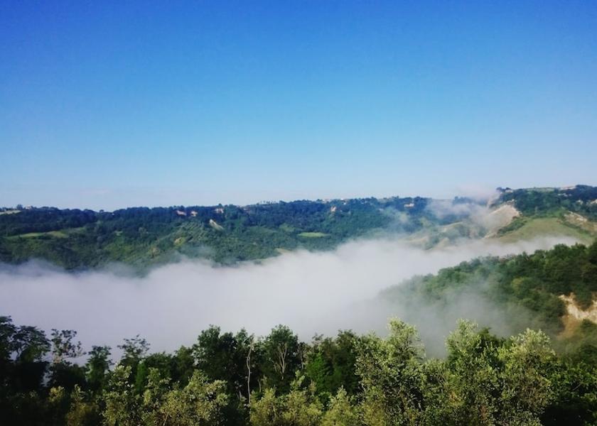 Lazio Castiglione in Teverina View from Property