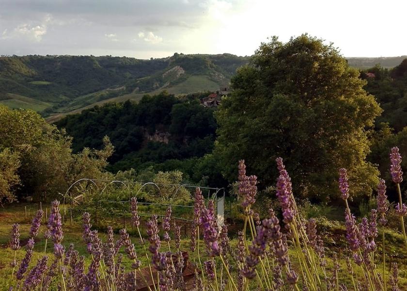 Lazio Castiglione in Teverina View from Property