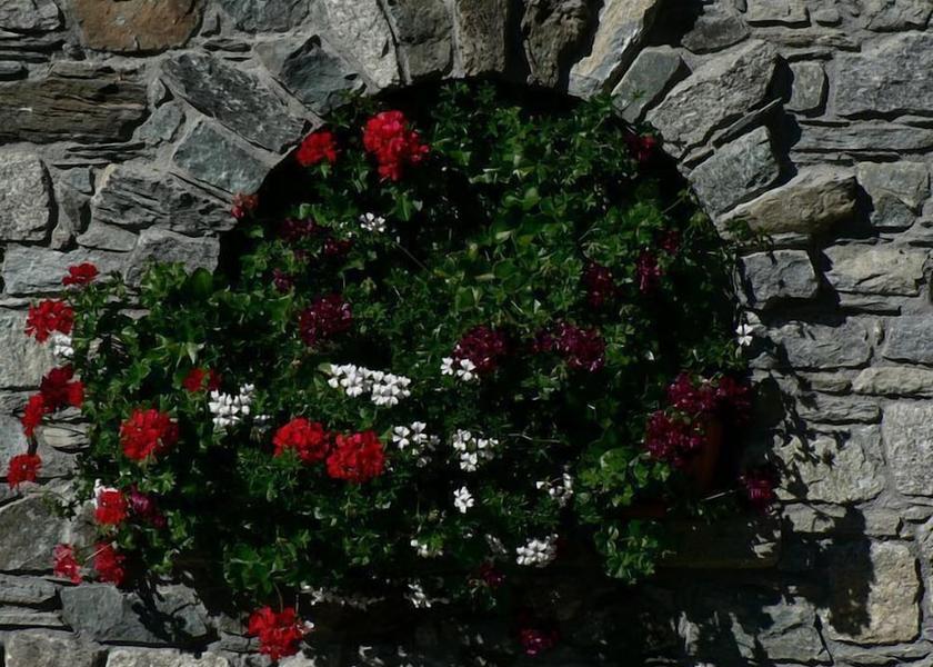 Valle d'Aosta Montjovet Exterior Detail