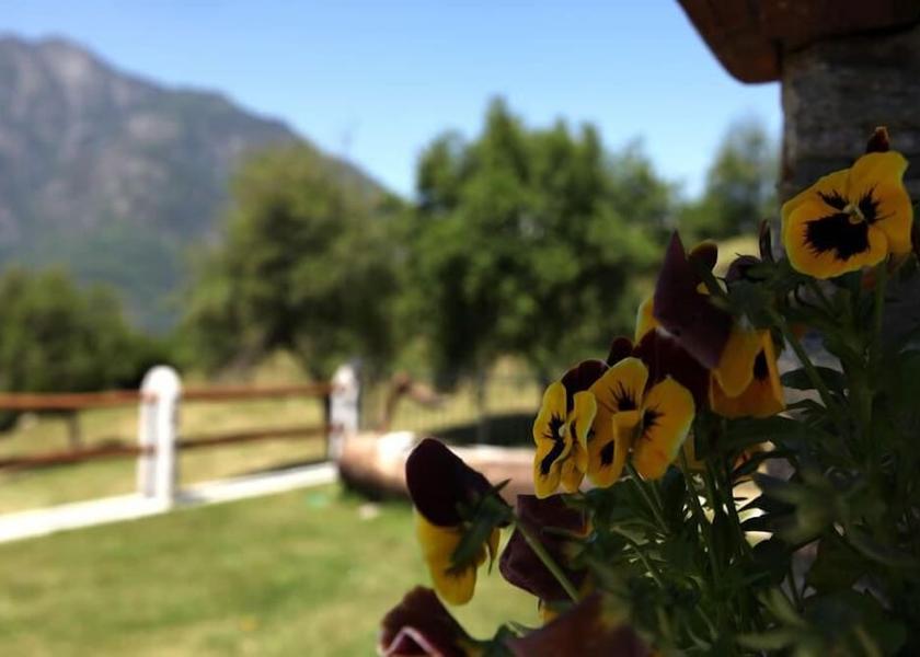 Valle d'Aosta Montjovet Exterior Detail