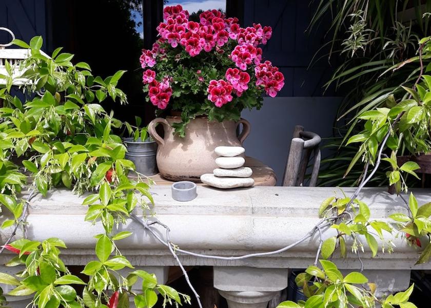 Corsica Patrimonio Exterior Detail