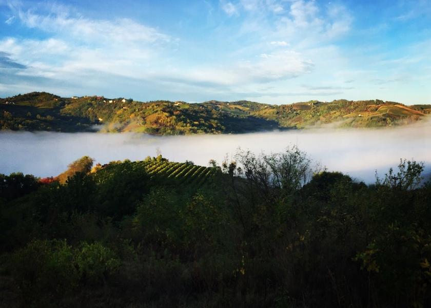 Piedmont Castel Rocchero View from Property