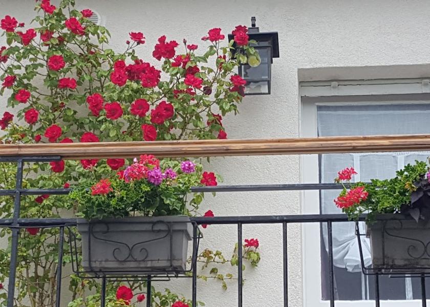 Grand Est Niedermorschwihr Exterior Detail