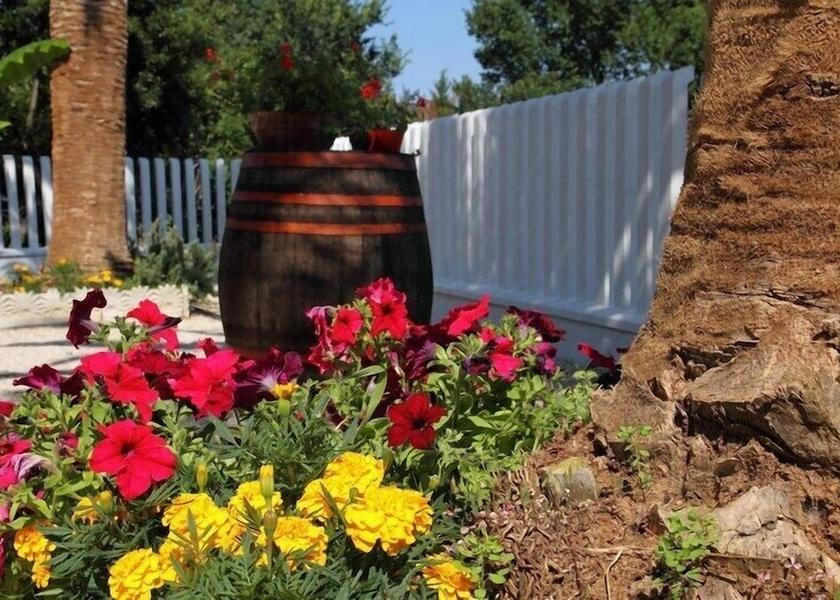 Marche Sant'Elpidio a Mare Garden