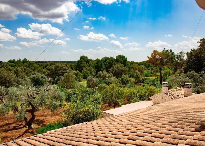 Puglia Grottaglie Land View from Property