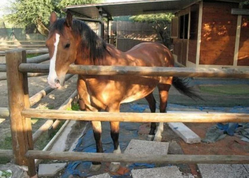 Tuscany Seravezza Property Grounds