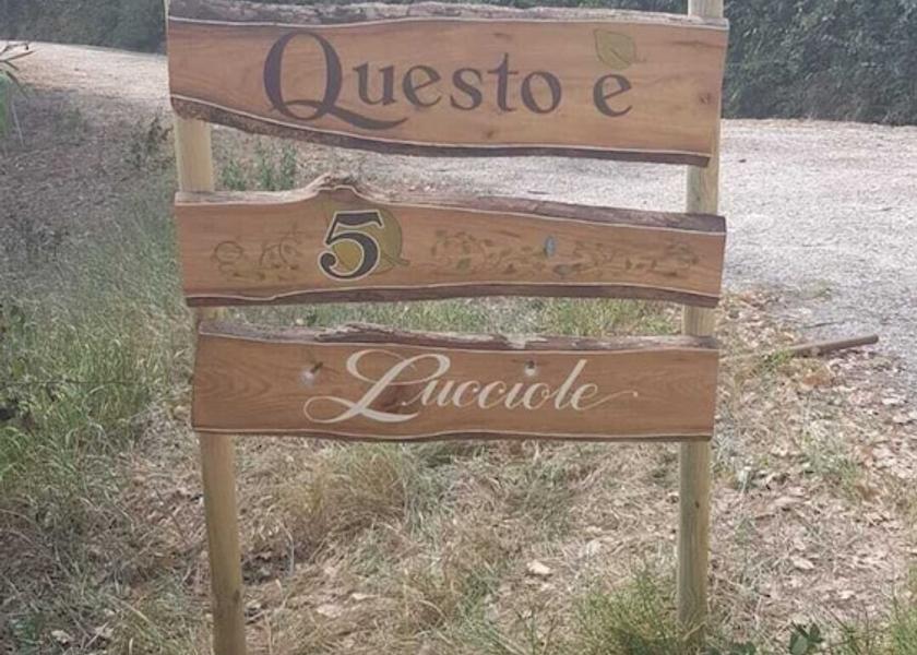 Marche Mondavio Exterior Detail