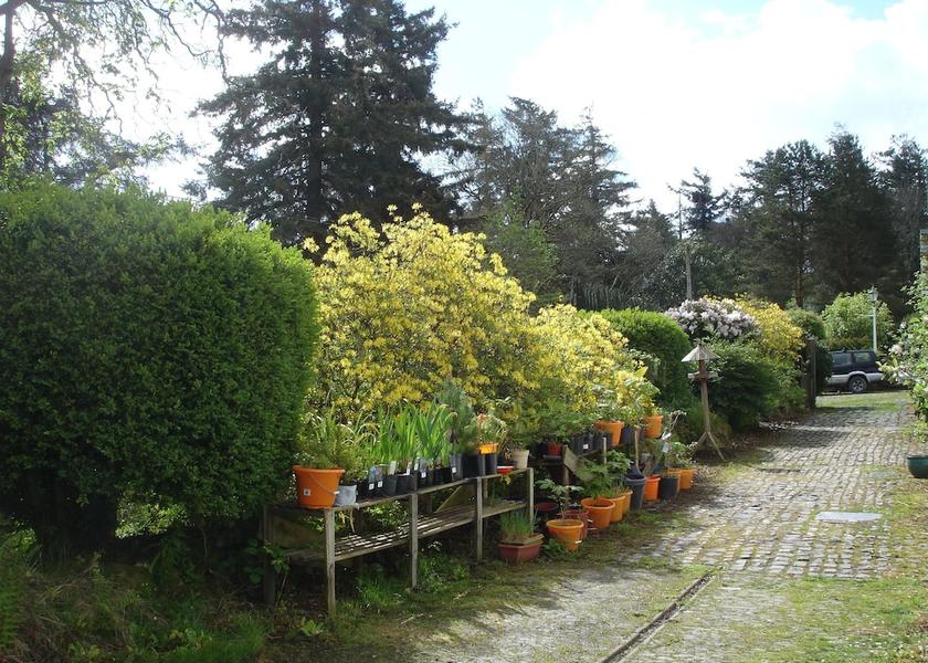 Wales Llanidloes Exterior Detail