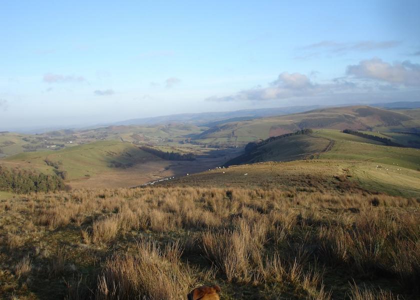 Wales Llanidloes Land View from Property