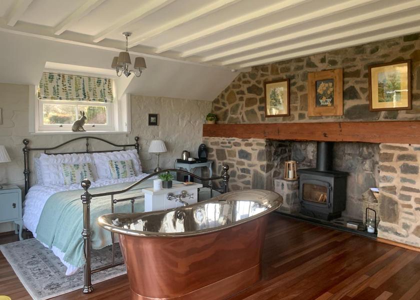 Wales Llanidloes King Room with Balcony
