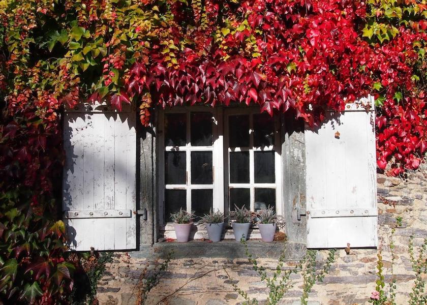 Brittany Sixt-sur-Aff Exterior Detail