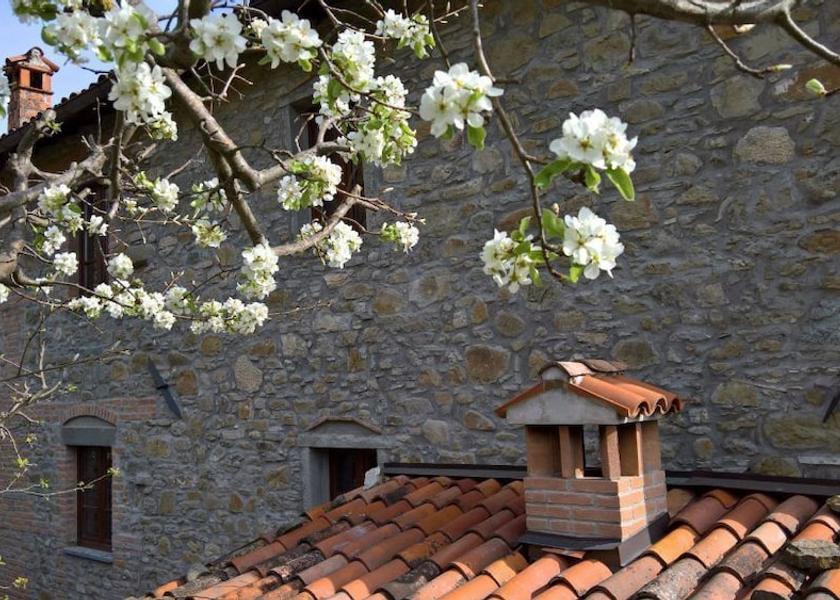 Tuscany Camporgiano Exterior Detail