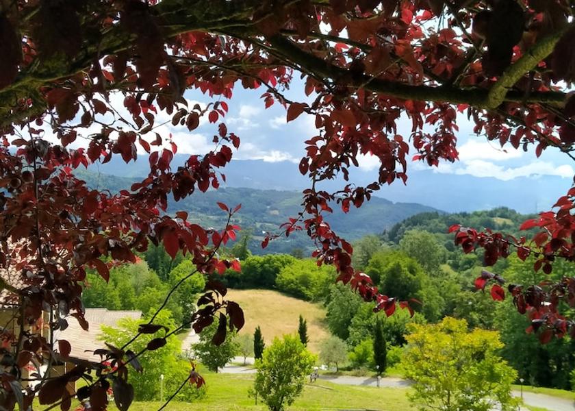 Tuscany Camporgiano Aerial View