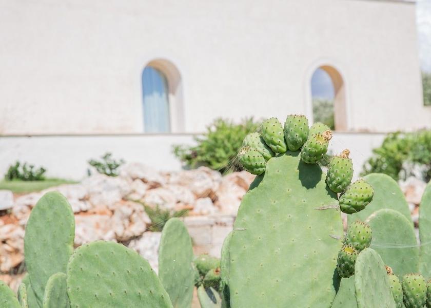 Puglia Ruffano Exterior Detail