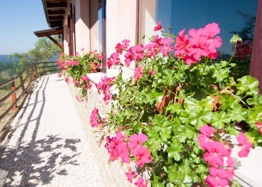 Marche Apecchio Exterior Detail