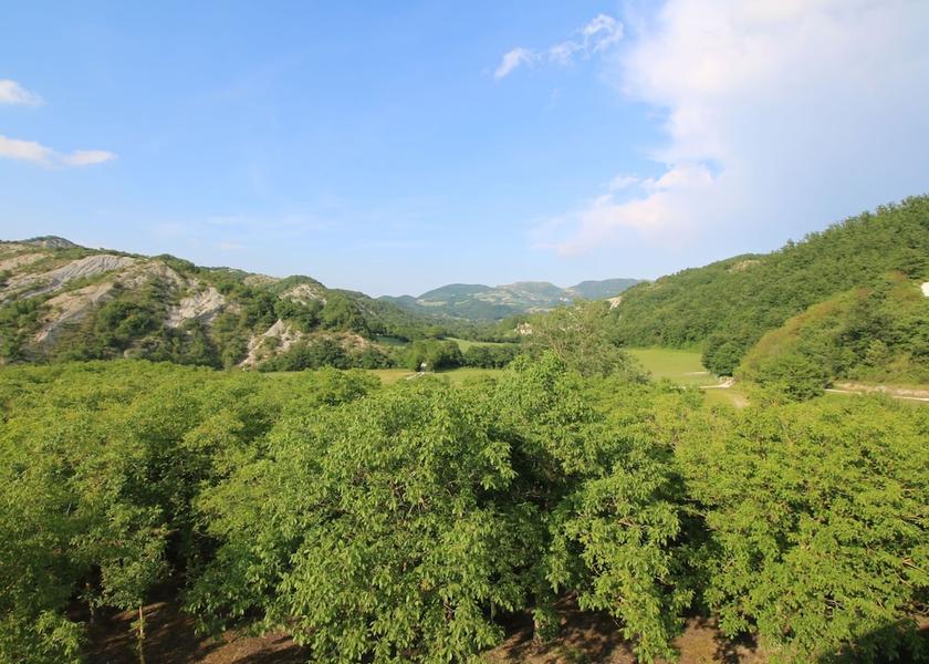 Marche Apecchio View from Property
