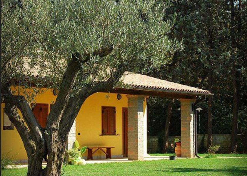 Lazio Bassano Romano Garden