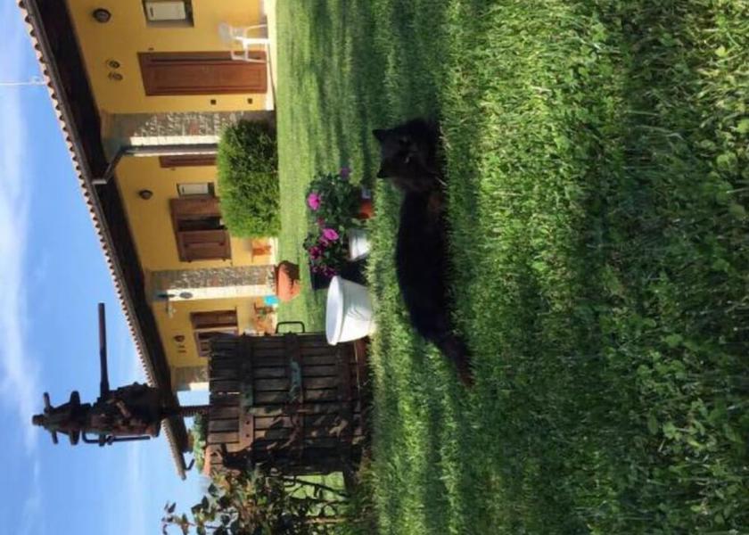 Lazio Bassano Romano Exterior Detail