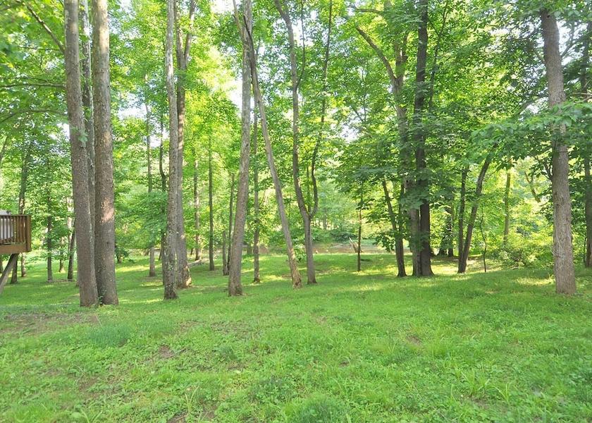 West Virginia Berkeley Springs Property Grounds