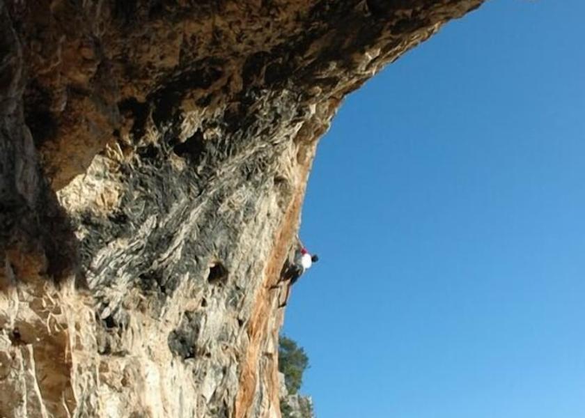 Ropes Course (Team Building)