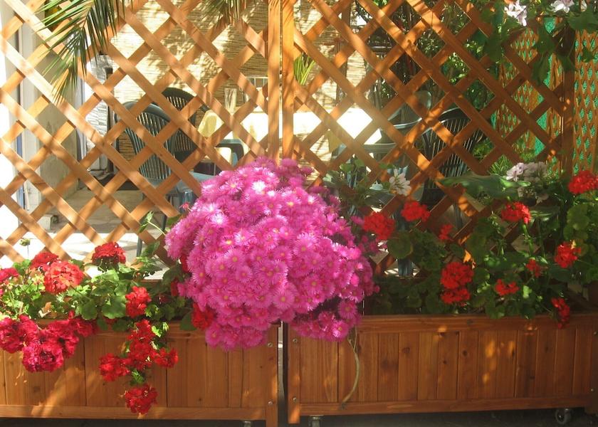 Sicily Santa Venerina Garden