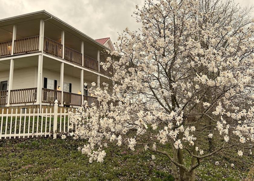 Kentucky Smiths Grove Facade