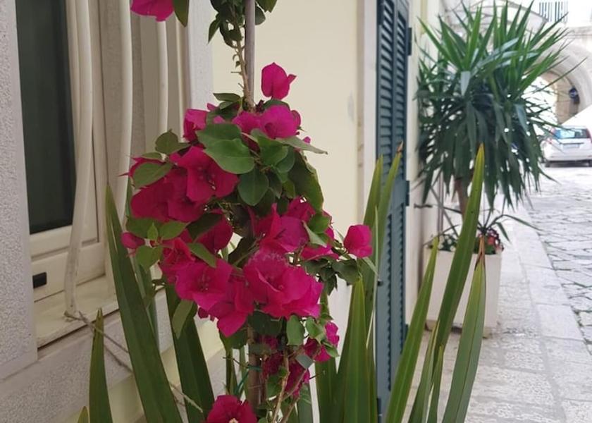 Puglia Bitonto Interior Entrance