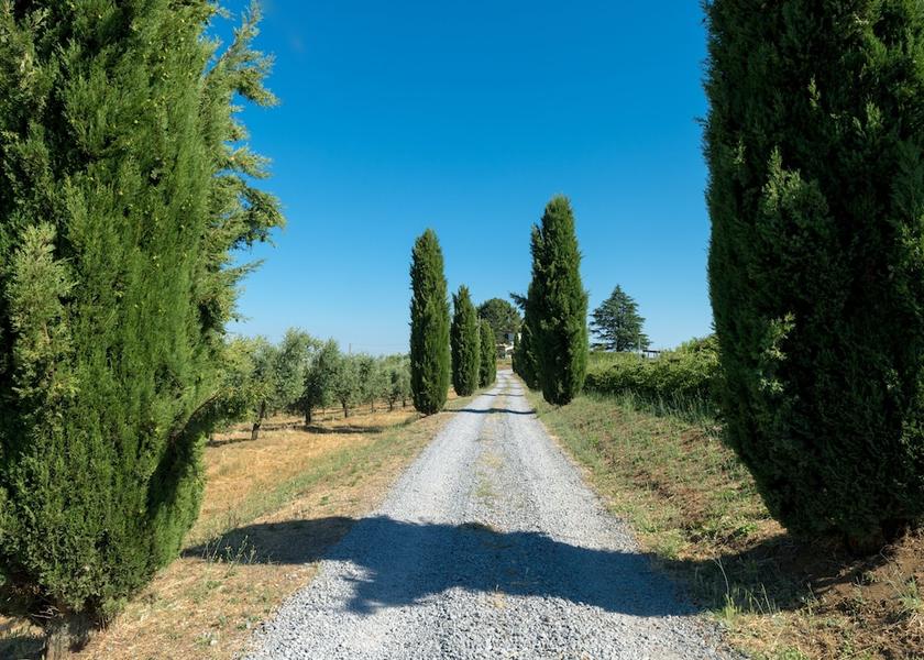 Lazio Bagnoregio Entrance