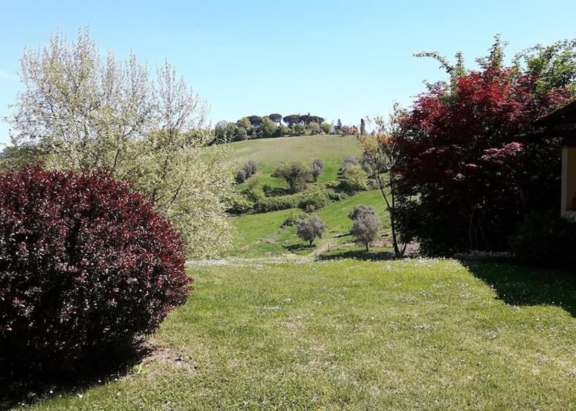 Lazio Bagnoregio Property Grounds