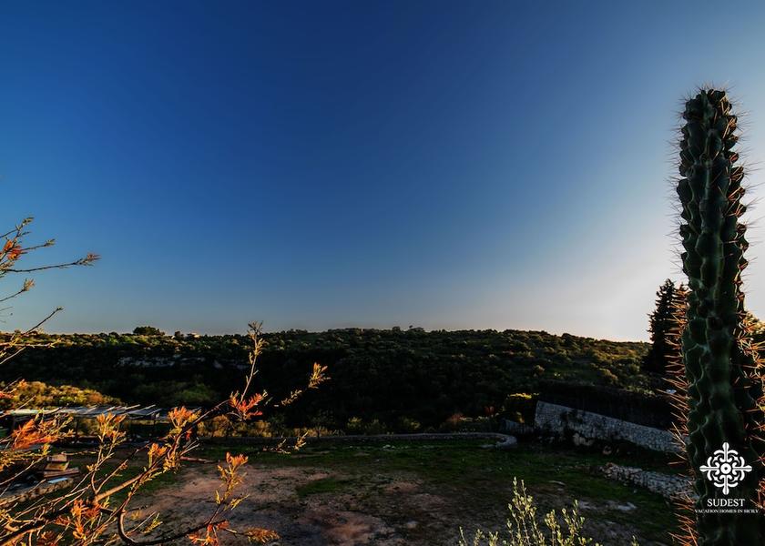 Land View from Property