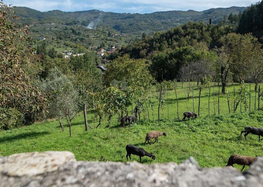 Tuscany Casola in Lunigiana Exterior Detail